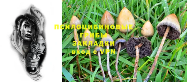 шишки Абинск