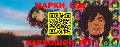 шишки Бузулук