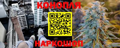 шишки Бузулук