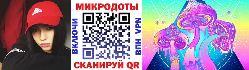 Галлюциногенные грибы Psilocybine cubensis  Отрадный 