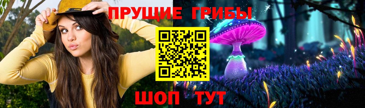 Отрадный  Галлюциногенные грибы прущие грибы  Вход с VPN  купить наркотик  Галлюциногенные грибы MAGIC MUSHROOMS 